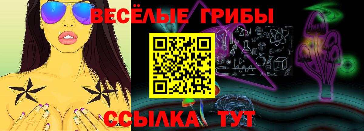Галлюциногенные грибы Psilocybine cubensis Дивногорск