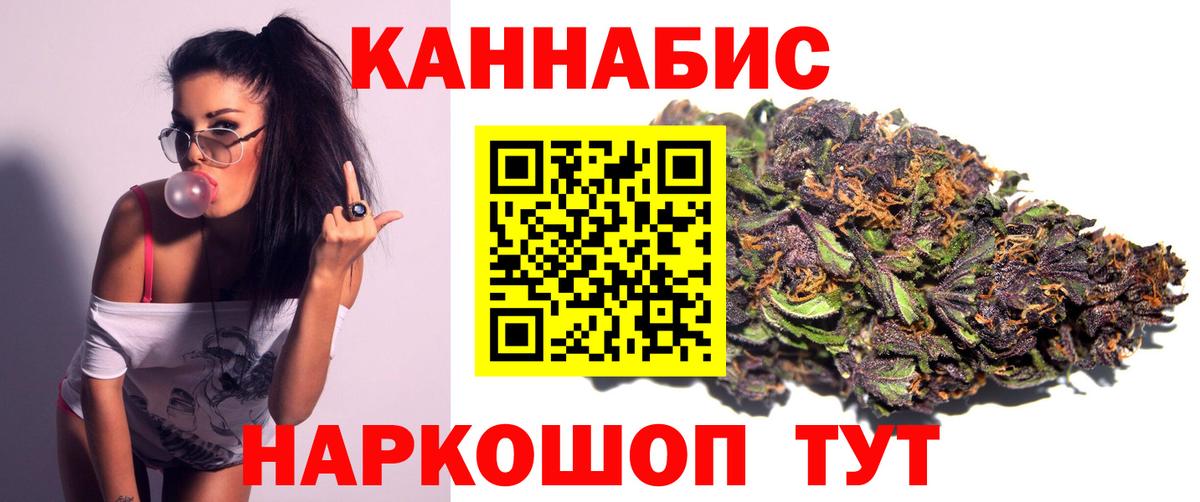 Конопля сатива Дивногорск